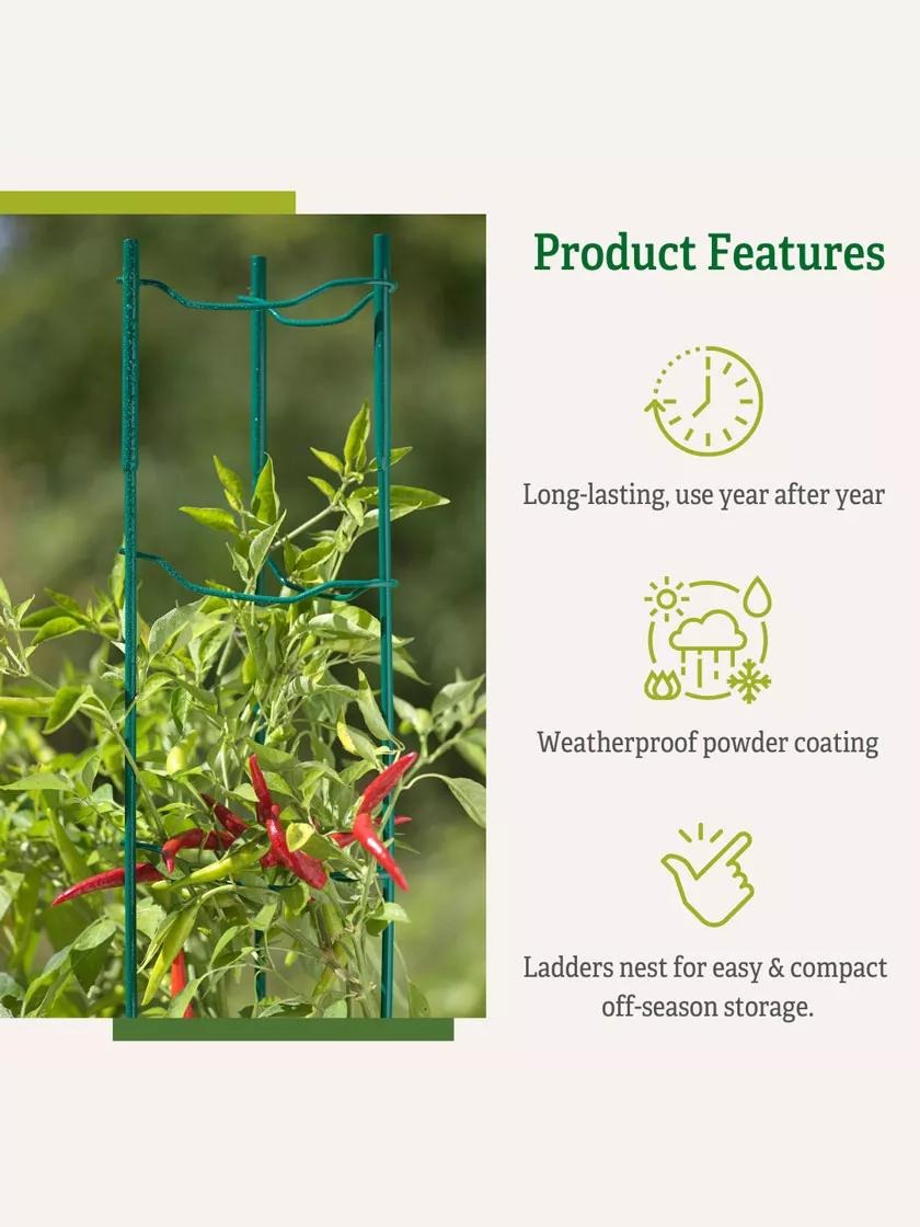 Pepper and Eggplant Ladders, Set of 3
