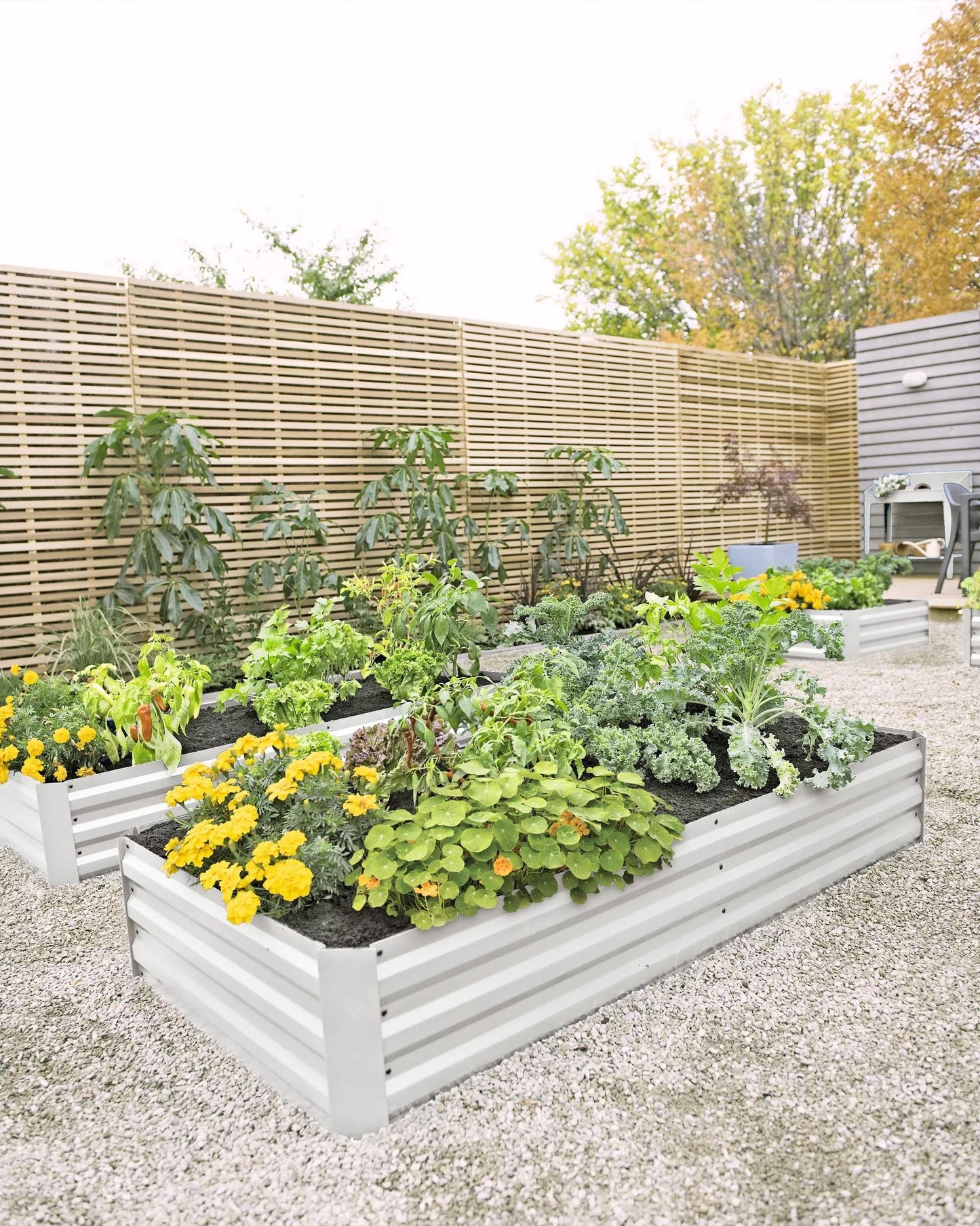 DemeterTM Corrugated Metal Raised Bed, 34" x 68" (12" D)
