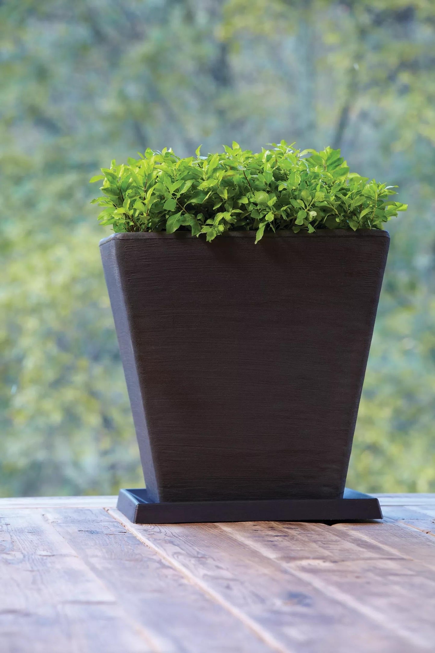 Universal Square Planter Saucers